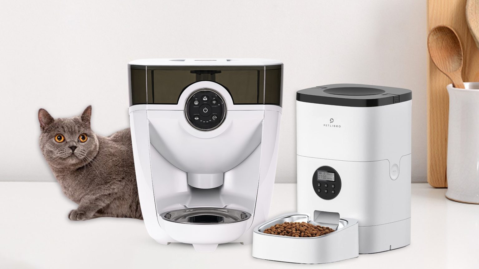 Best Automatic Cat Dog Feeder