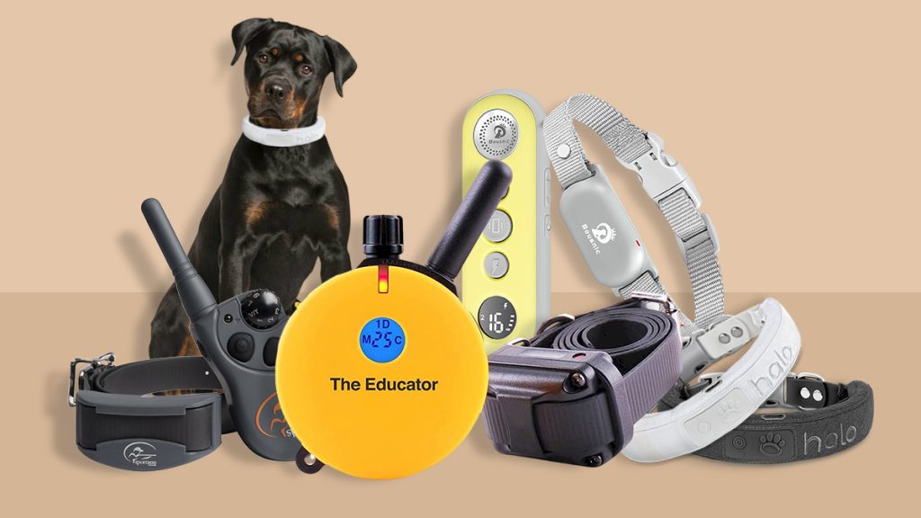Best Dog Training Collars 2023 | Kuppar Reviews